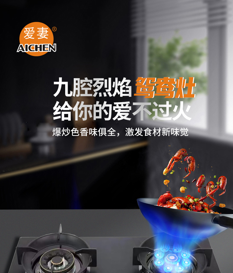 66593845ceea5.jpg AQ-B2023-A_01.jpg